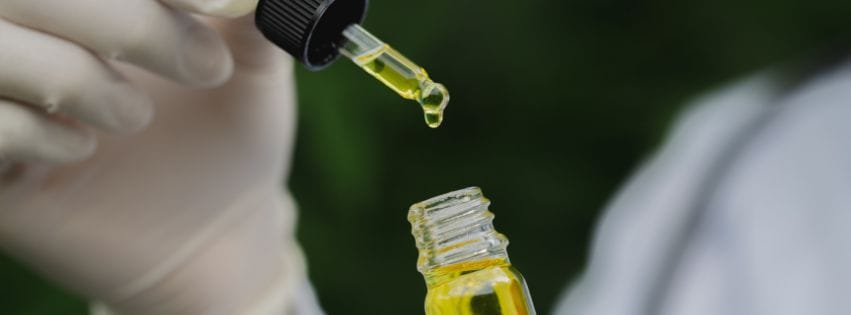 Consultoria Especializada em Cultivo de Cannabis